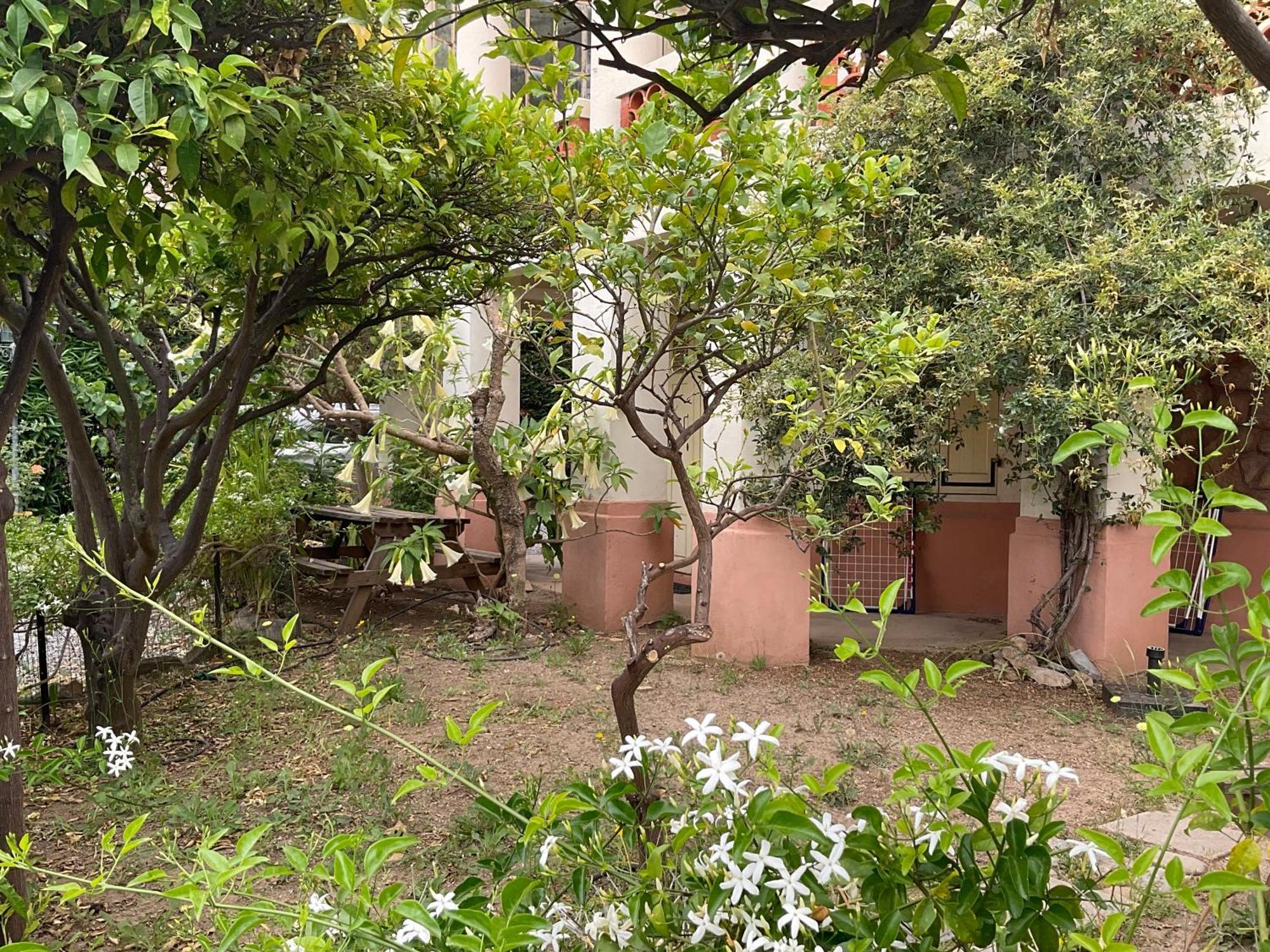 Villa La Provence Hyères Exterior foto